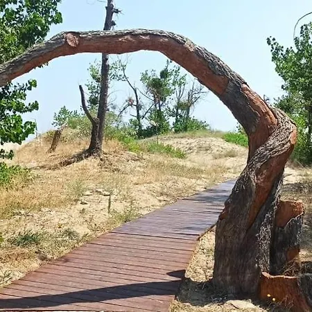 Gerber 2 דירה סאני ביץ'